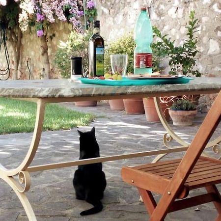 Home Garden Grosseto Exterior foto