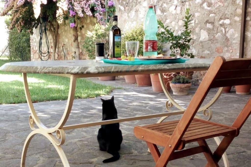 Home Garden Grosseto Exterior foto